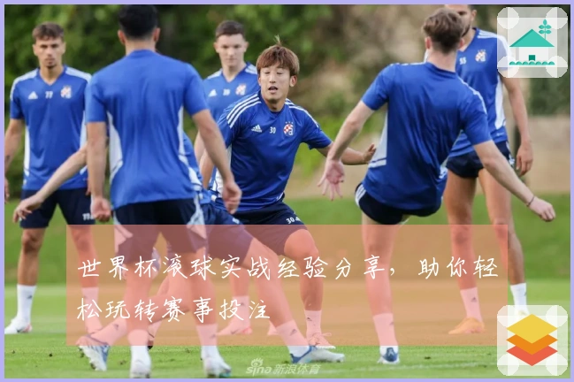世界杯滚球实战经验分享，助你轻松玩转赛事投注